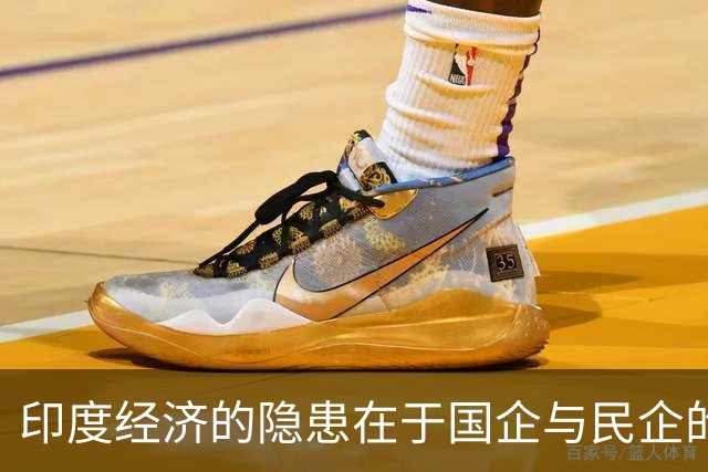 印度经济的隐患在于国企与民企的不平等竞争